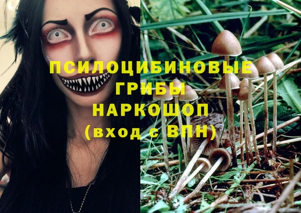 круглые Каменногорск